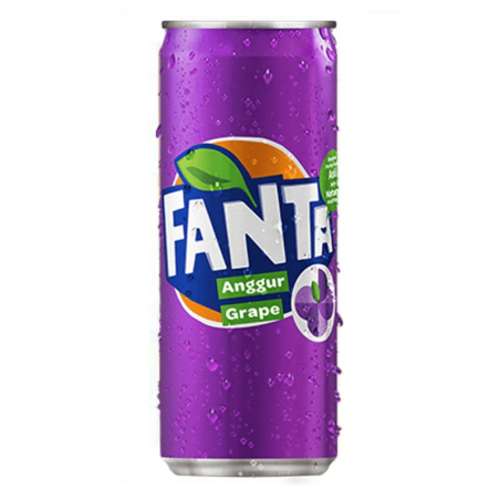 FANTA RAISIN 320ML CRT12