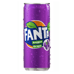 FANTA RAISIN 320ML CRT12