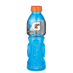 GATORADE BLUE BOLT 600ML CRT 12